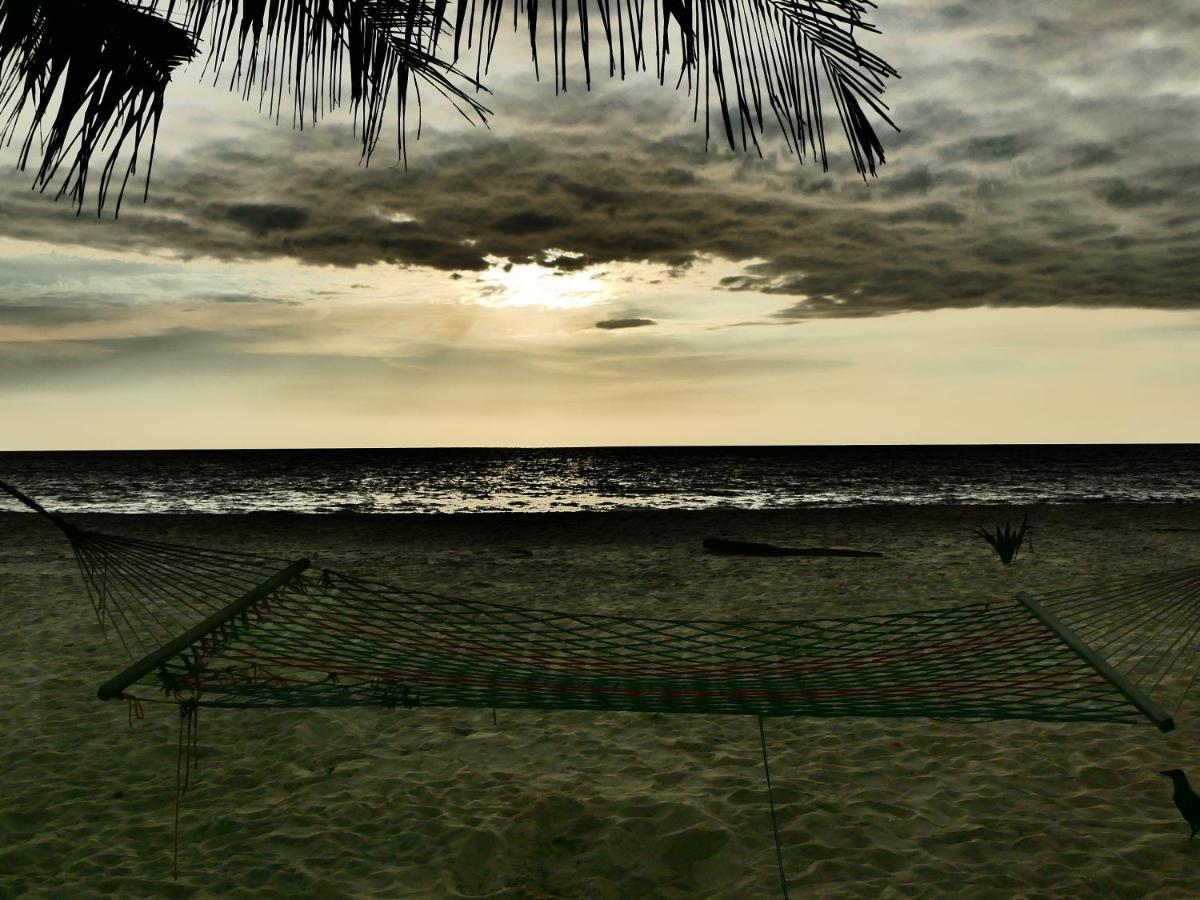 Marari SeaLap Beach Villas Mararikulam Bagian luar foto