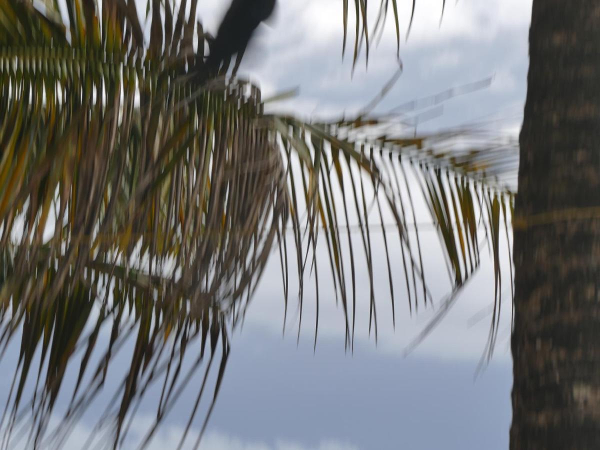 Marari SeaLap Beach Villas Mararikulam Bagian luar foto