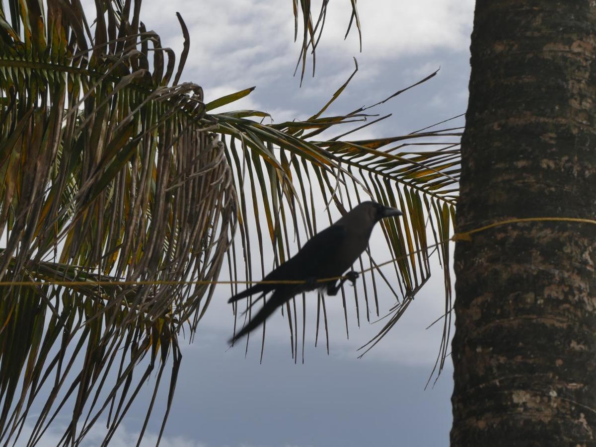 Marari SeaLap Beach Villas Mararikulam Bagian luar foto