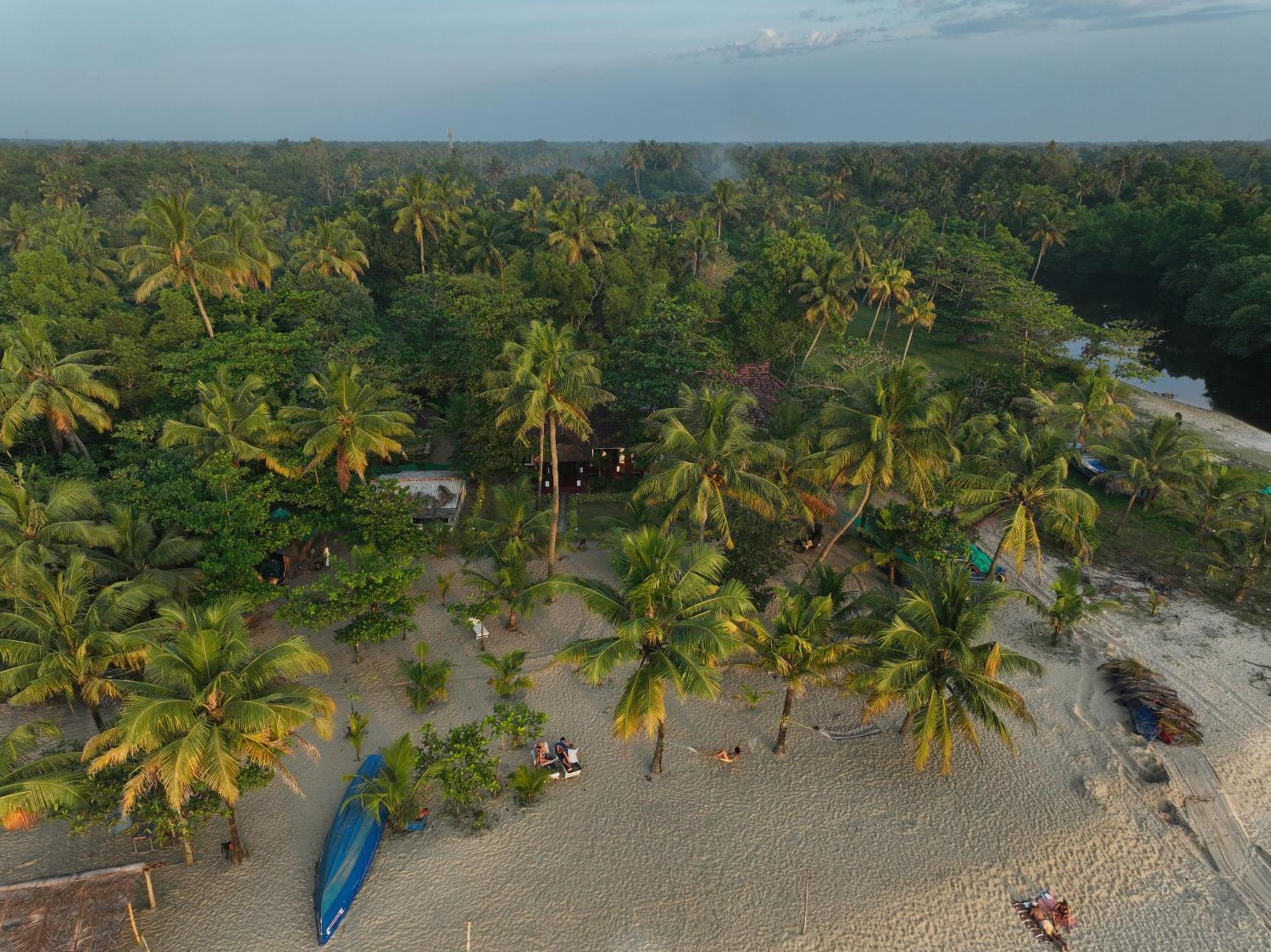 Marari SeaLap Beach Villas Mararikulam Bagian luar foto